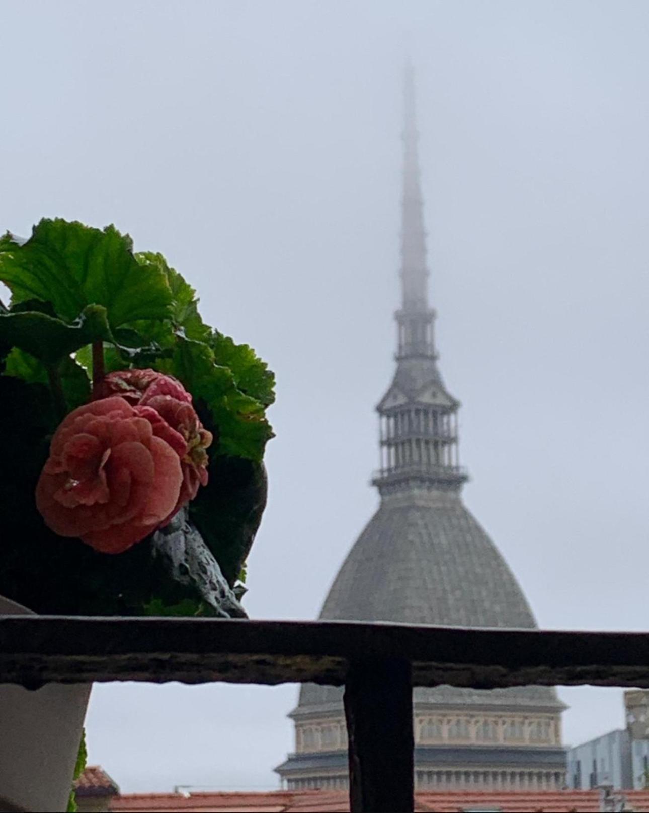 Le Finestre Sulla Mole Lägenhet Turin Exteriör bild